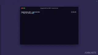 Video preview