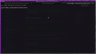 Video preview