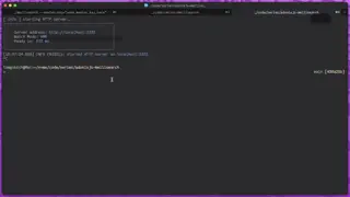 Video preview
