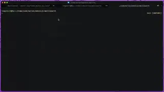 Video preview